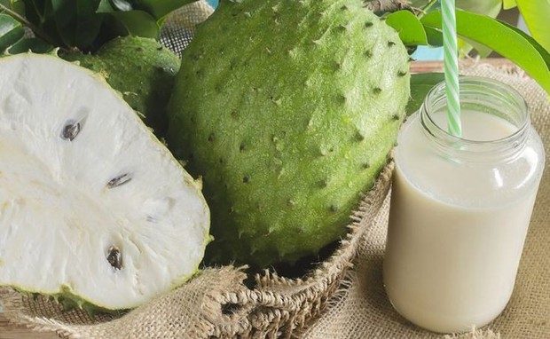 Ilustrasi sirsak/ Foto: pinterest.com/Receiteria Buah sirsak dapat membantu membunuh sel kanker.