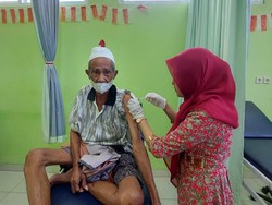 Seorang Kakek di Dompu Digigit Anjing Liar Diduga Rabies