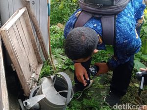 Demam Berdarah di Klaten Tahun Ini Naik Tajam, Ada 23 Kasus Meninggal Demam Berdarah di Klaten Tahun Ini Naik Tajam, Ada 23 Kasus Meninggal