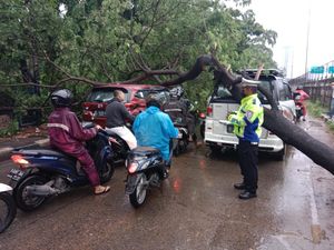 Ada Pohon Tumbang, Jl Kamal Raya Cengkareng Macet
