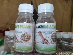 Rempah Naik Kelas di Tangan Petani Muda Sumedang