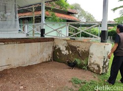 Sedih, Bangunan Situs Jambansari Ciamis Rusak