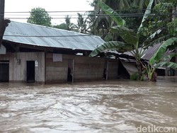 Banjir 2 Meter di Polman: Jembatan Ditutup, Warga Panik Mengungsi