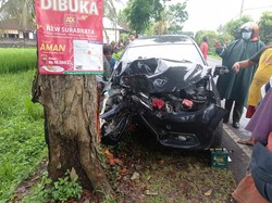 Sopir Diduga Mengantuk, Mobilio Seruduk Pohon Perindang di Tabanan