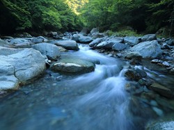 Hari Sungai Nasional 27 Juli 2025: Tema dan Cara Merayakannya