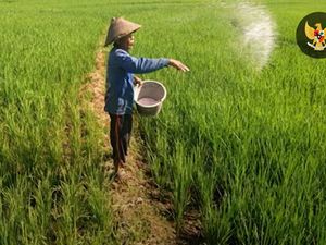 Golkar Dorong Pemerintah Beri Perhatian pada Masalah Pupuk di RI