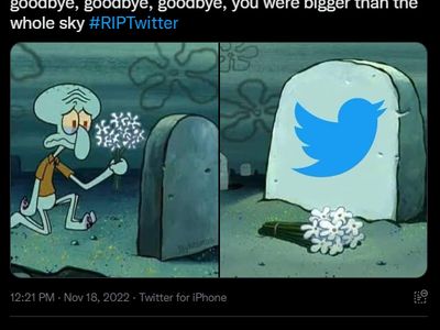 Deretan Meme #RIPTwitter Usai Karyawan Resign Massal
