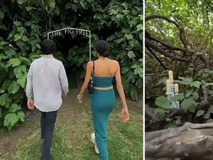 Keren! Restoran Ini Tersembunyi di Balik Pohon Ara Berusia 120 Tahun Keren! Restoran Ini Tersembunyi di Balik Pohon Ara Berusia 120 Tahun