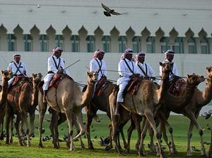 Piala Dunia 2022: Hotel Timnas Inggris Dijaga Pasukan Unta