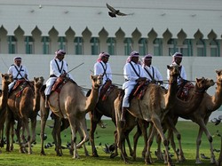 Piala Dunia 2022: Hotel Timnas Inggris Dijaga Pasukan Unta
