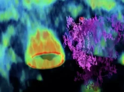 Video Viral, Detik-detik Virus Masuk ke Dalam Sel