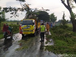 Angin Kencang Rusak 6 Rumah hingga Tumbangkan 2 Pohon di Magetan