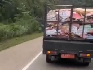 Heboh Ribuan Lamaran Job Fair 2022 Batam Akan Dibuang, Disnaker: Hoaks