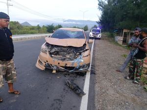 Pengendara Mobil Tabrak Lari Warga di Jayapura, 1 Orang Tewas-2 Luka