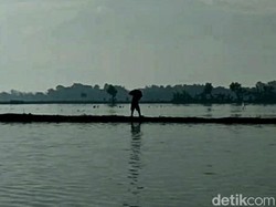 Terendam Banjir, Ratusan Hektare Bawang Merah di Brebes Gagal Panen