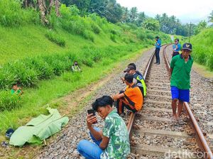 Lansia Banyuwangi Tewas Tertabrak KA Probowangi Lansia Banyuwangi Tewas Tertabrak KA Probowangi