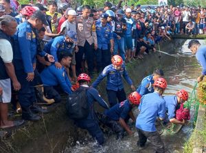 Geger Buaya 3 Meter Muncul di Selokan Permukiman Warga di Maros Geger Buaya 3 Meter Muncul di Selokan Permukiman Warga di Maros