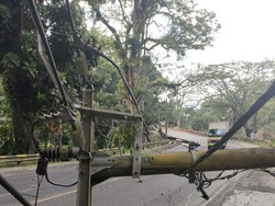 1.957 Gardu PLN Terdampak Gempa Cianjur!
