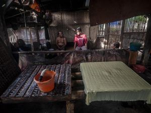 Harga Kedelai Meroket, Perajin Tahu di Lebak Mogok Produksi Harga Kedelai Meroket, Perajin Tahu di Lebak Mogok Produksi