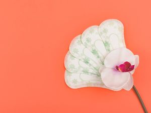 Sering Keluar Flek Coklat di Luar Siklus Menstruasi, Apa Penyebabnya Dok? Sering Keluar Flek Coklat di Luar Siklus Menstruasi, Apa Penyebabnya Dok?