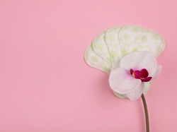 Apakah Keputihan Bisa Membatalkan Puasa?