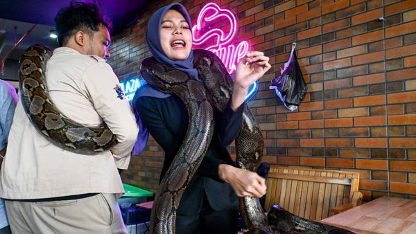 Mengunjungi Pameran Hewan Peliharaan di Pusat Perbelanjaan Aceh