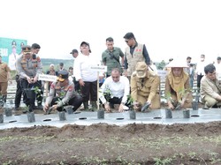 Bareng Gubsu, Bupati Dairi Tanam Cabai di Kawasan Pertanian Parbuluan