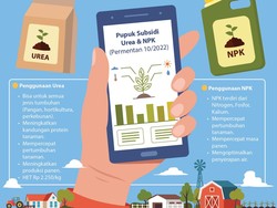 Dua Jenis Pupuk yang Disubsidi Pemerintah