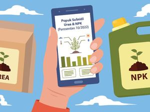 Sudah Tahu 2 Jenis Pupuk yang Disubsidi? Cek di Sini Infonya