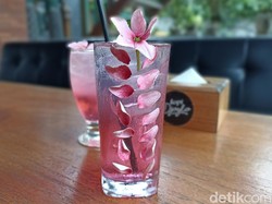 Cantiknya Sakura Blossom! Paduan Air Kelapa dan Sirup Bunga yang Segar