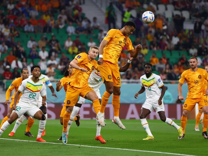 Penyisihan Grup A Piala Dunia 2022 antara Senegal vs Belanda berakhir dengan skor 2-0. Berikut foto-foto pertandingannya.