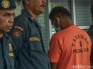 Serang Petugas, Bos Perambah Hutan TN Tesso Nilo Ditangkap! Serang Petugas, Bos Perambah Hutan TN Tesso Nilo Ditangkap!