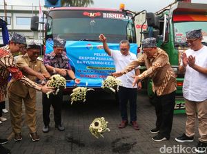 Mantap! Sarden Banyuwangi Senilai Rp 14,1 M Diekspor ke Australia