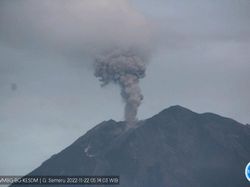 Saat Semeru Batuk Lagi Keluarkan Abu Setinggi 700 Meter