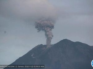 Saat Semeru Batuk Lagi Keluarkan Abu Setinggi 700 Meter Saat Semeru Batuk Lagi Keluarkan Abu Setinggi 700 Meter
