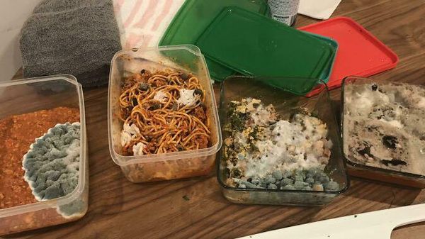 Jorok! 10 Anak Kos Ini Timbun Sampah Makanan Sampai Berjamur