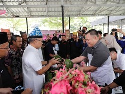 Kemendag Akan Fasilitasi Ekspor Buah Naga & Alpukat Petani Banyuwangi