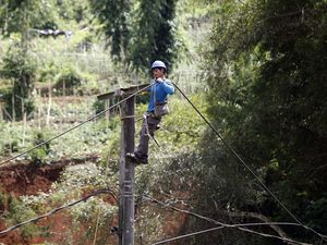 PLN Gercep Perbaiki Jaringan Listrik di Cianjur