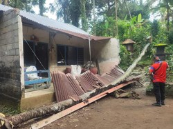 Rumah Warga di Karangasem Rusak Parah Tertimpa Pohon Kelapa