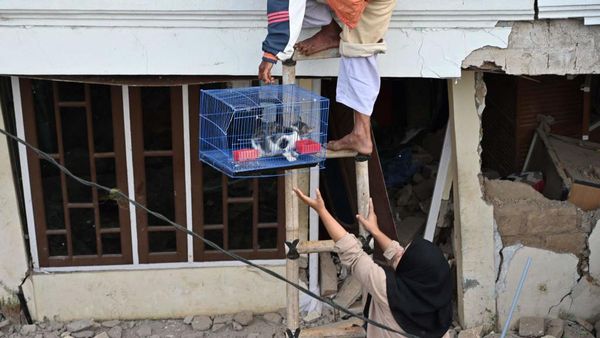 Momen Warga Selamatkan Peliharaan dari Reruntuhan Gempa Cianjur