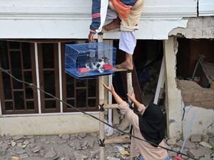 Momen Warga Selamatkan Peliharaan dari Reruntuhan Gempa Cianjur