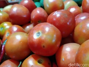 Wow, Harga Tomat di Pekalongan Tembus Rp 20 Ribu Per Kilogram