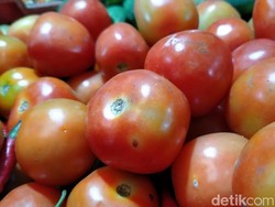 Wow, Harga Tomat di Pekalongan Tembus Rp 20 Ribu Per Kilogram