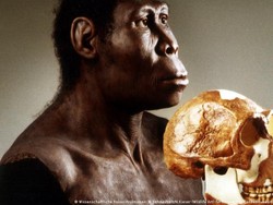 Bukti Masak 780.000 Tahun Lalu, Ubah Sejarah Evolusi Manusia