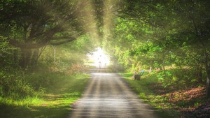 Ciri Golongan Pertama yang Masuk Surga, Seperti Apa?