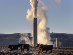 Ongkos Jumbo Udara Bersih: Tutup 1 PLTU Biayanya Rp 4,5 T