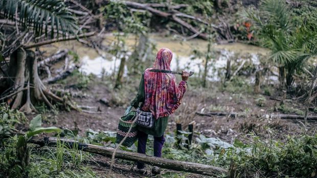 Warga Suku Balik berjalan di kebun miliknya di Desa Bumi Harapan, Kecamatan Sepaku, Kabupaten Penajam Paser Utara, Kalimantan Timur.