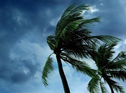 Doa saat Ada Angin Bertiup Kencang: Arab, Latin dan Artinya