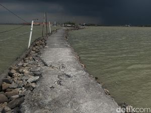 Warga Demak Tolak Pembebasan Tanah Musnah, Ganjar Janji Ajak Dialog Warga Demak Tolak Pembebasan Tanah Musnah, Ganjar Janji Ajak Dialog