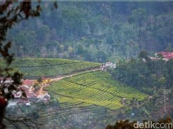 BPBD Sebut Gempa Probolinggo Disebabkan Pergerakan Sesar Wongsorejo